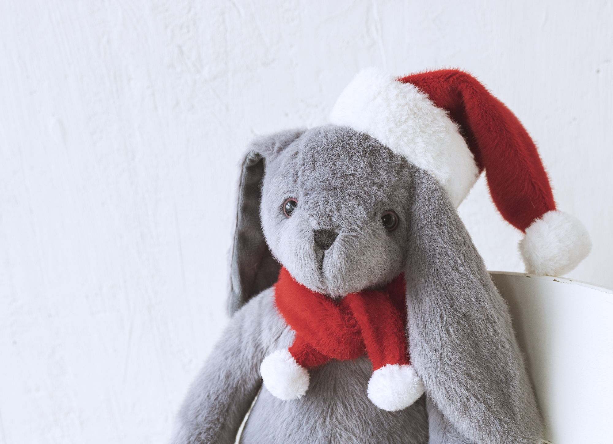 Dabron 玛尔达（Martha）戴圣诞帽兔